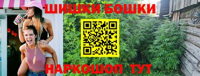 гашик Бийск