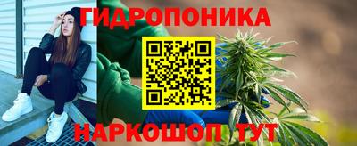 гашик Бийск