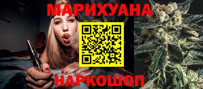 гашик Бийск