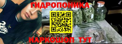 прущий лед Гатчина