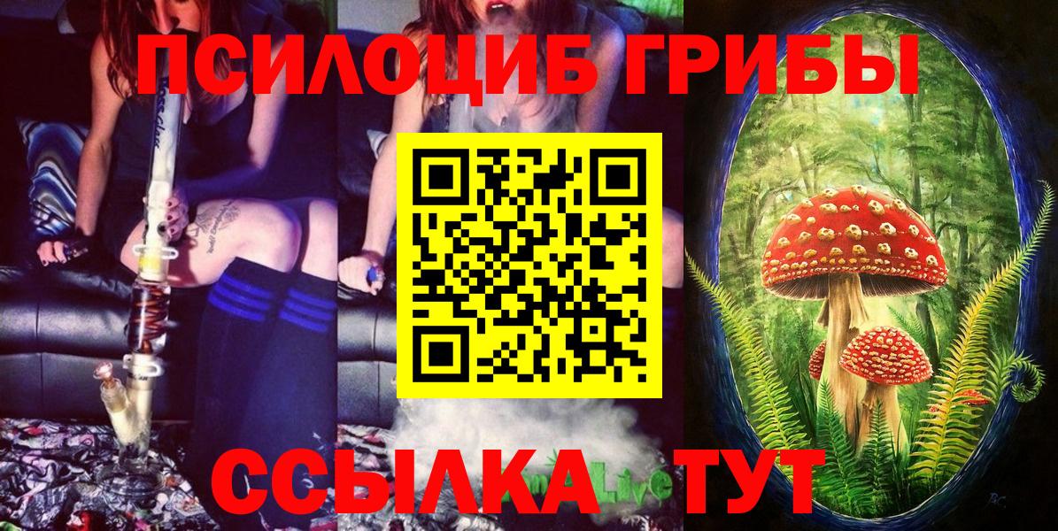 Галлюциногенные грибы прущие грибы Елец