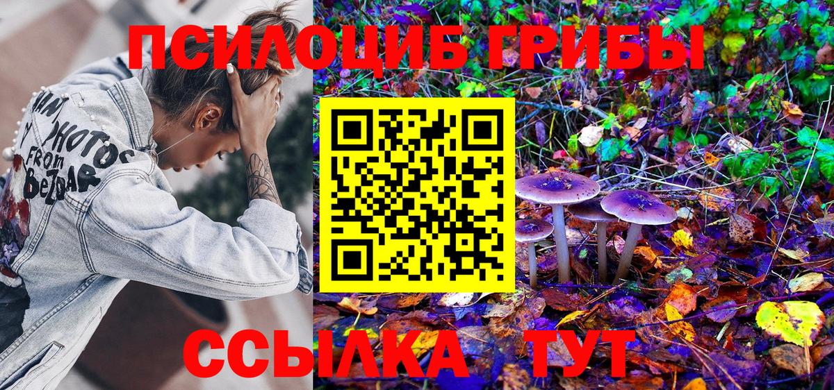 Псилоцибиновые грибы Psilocybe  Вход с VPN  как найти наркотики  Елец 